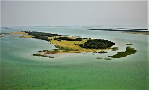 Остров Медвежий озеро Чаны