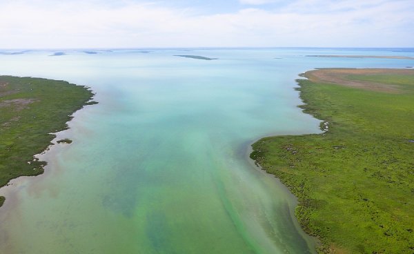 Западная Сибирь озеро Чаны