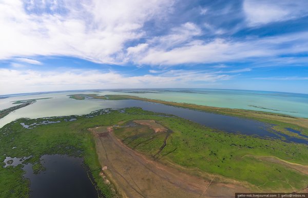 Озеро Чаны Новосибирская