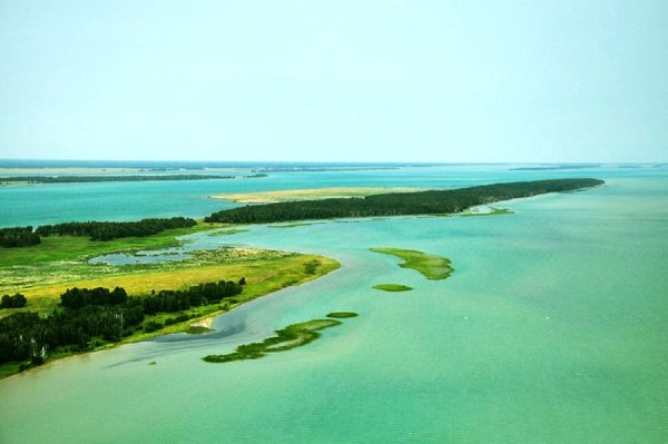 Остров Медвежий на озере Чаны Новосибирской области