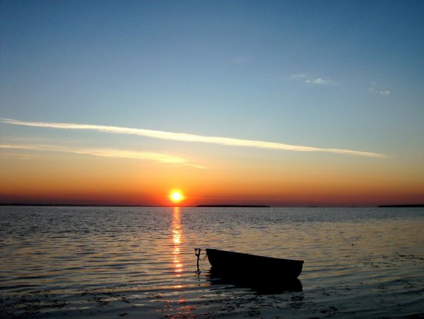 Озеро Чаны Новосибирская область