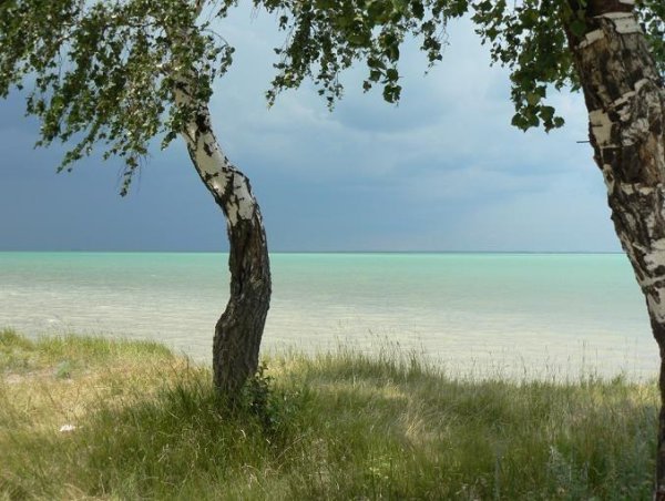 Озеро Чаны Новосибирская область