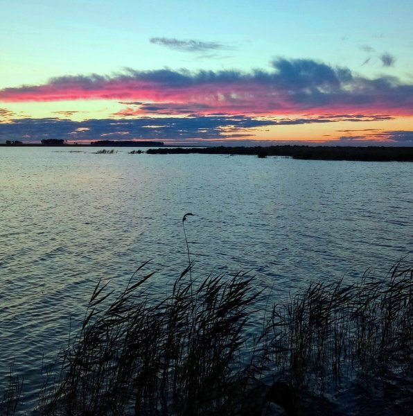 Озеро Сартлан Новосибирская область