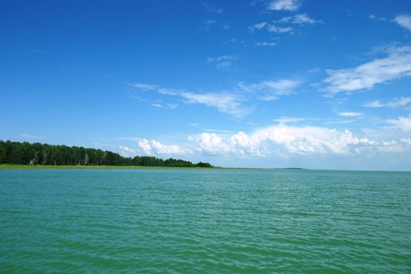 Озеро Чаны Новосибирская