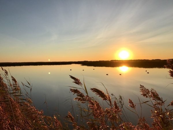 Чановский район озеро Чаны