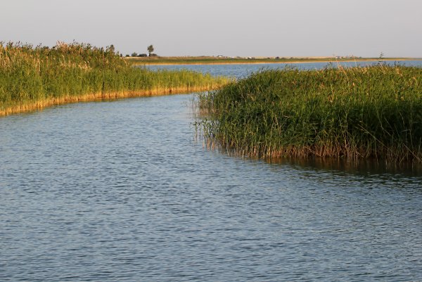 Озеро Чаны Новосибирская