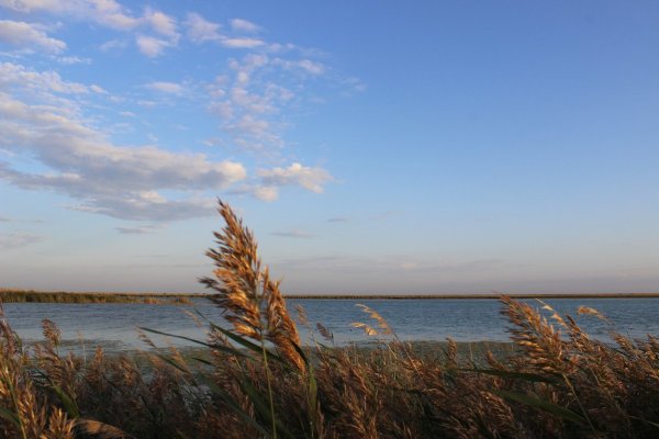 Озеро Чаны Новосибирская