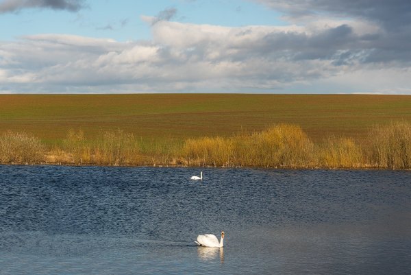 Озеро Чаны Новосибирская область