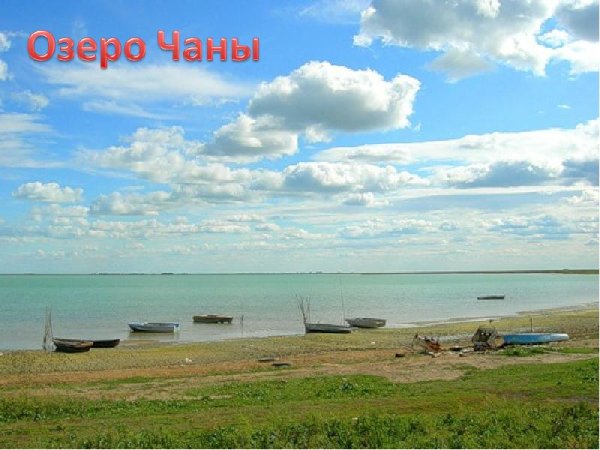 Озеро Чаны Новосибирская область пляж