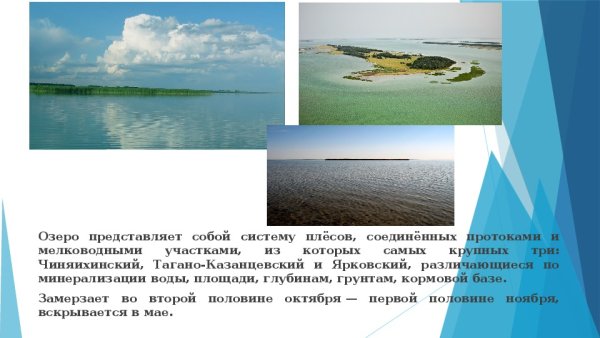 Солёное бессточное озеро Чаны;