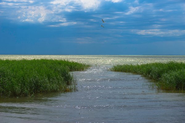 Озеро Салтан Новосибирская область