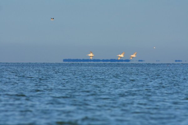 Амелькина грива озеро Чаны