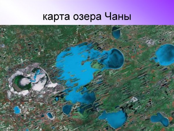 Озеро Чаны Новосибирская область