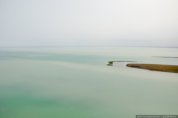 Западная Сибирь озеро Чаны