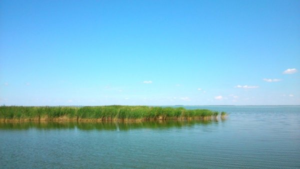 Озеро Чаны Купинский район