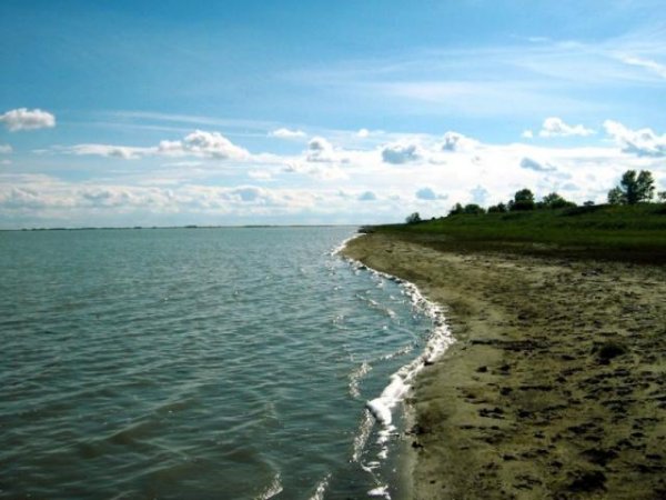 ОЗЕРОЧАНЫ новрсибирск