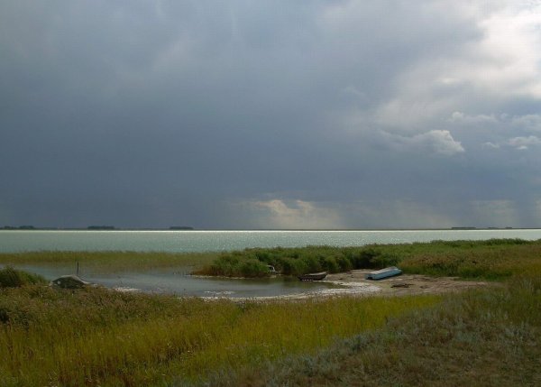 Западная Сибирь озеро Чаны