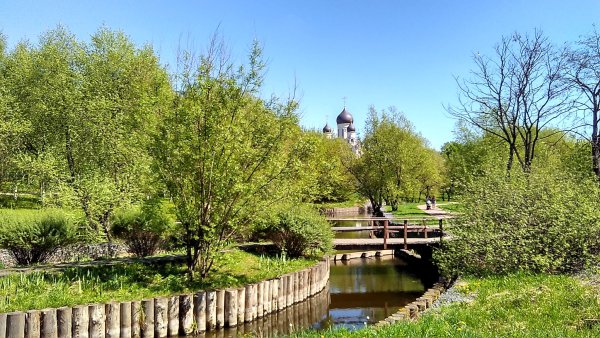 Парк Яуза в Медведково