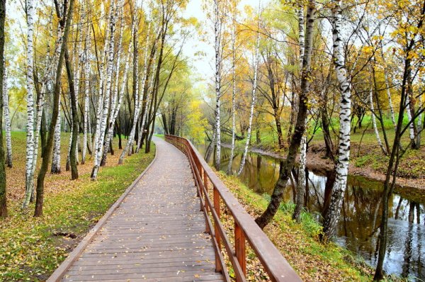 Парк Яуза Северодвинская