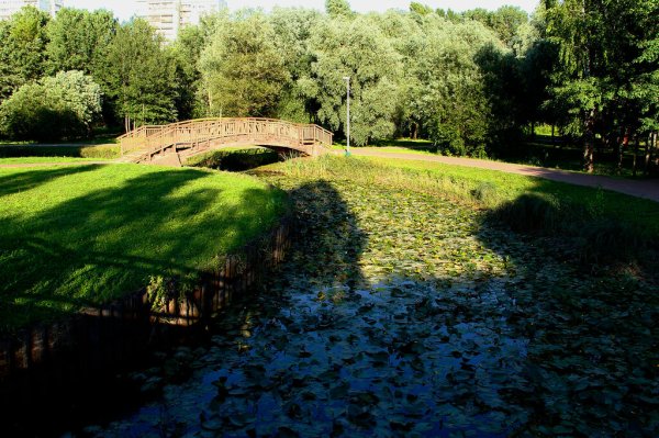 Парк Яуза Свиблово