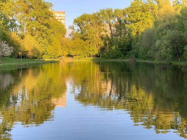 Река Яуза Медведково