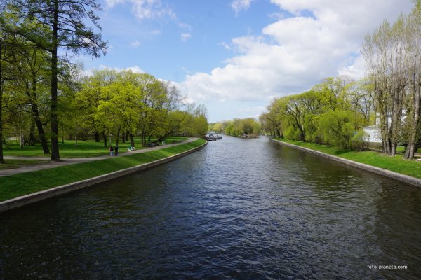 Чёрная речка (приток большой Невки)