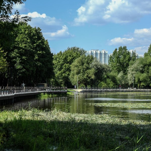 Щукинский парк Москва