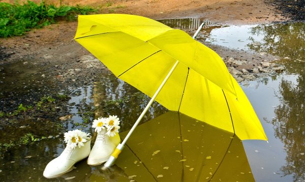 Хорошего настроения в дождливую погоду