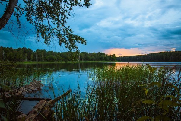 Озеро Нерское Лобня