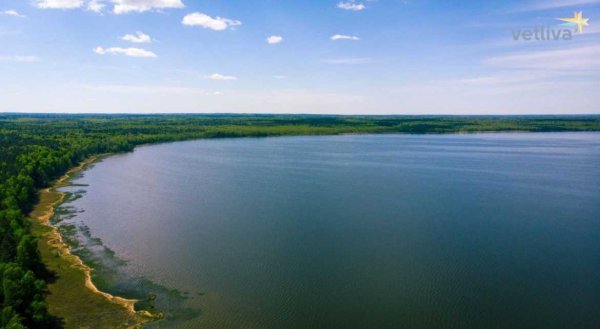 Озеро Нарочь