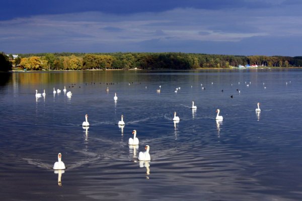 Озеро Нарочь