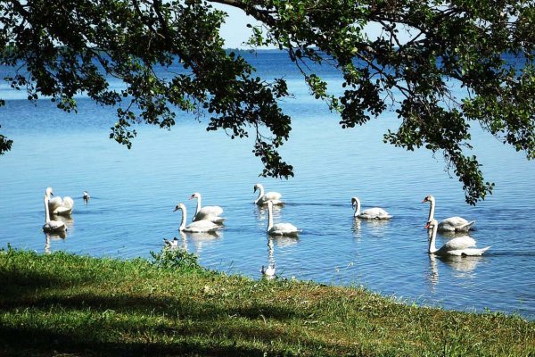 Нарочанский национальный парк (п. Нарочь)