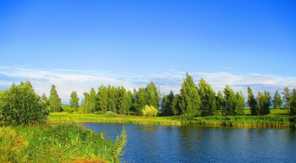 Беларусь Синеокая