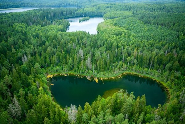 Голубые озера Беларусь