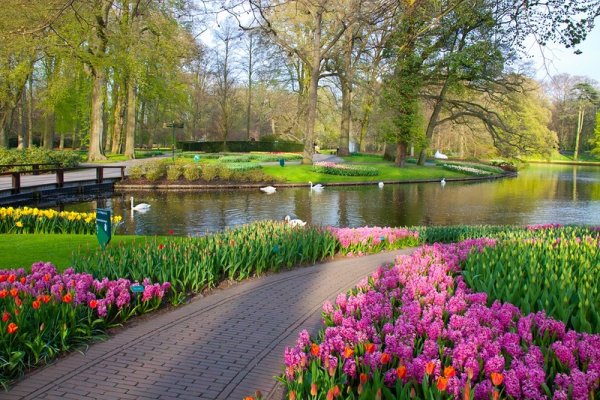 Красивый парк весной