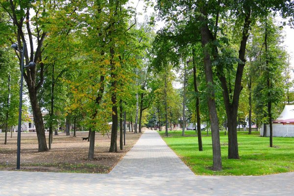 Городской парк Брянск