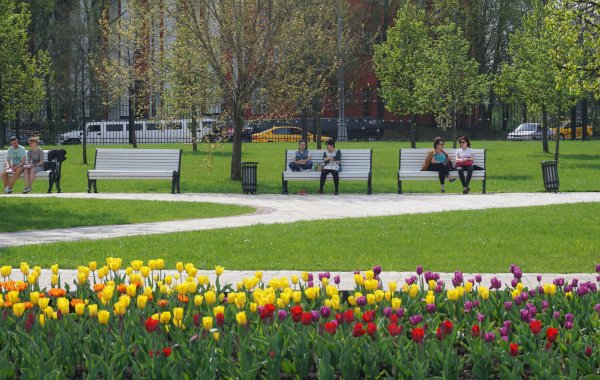 Московский сквер май