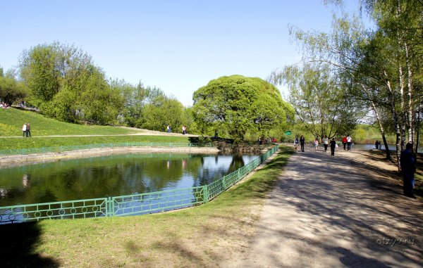 Парк Коломенское май