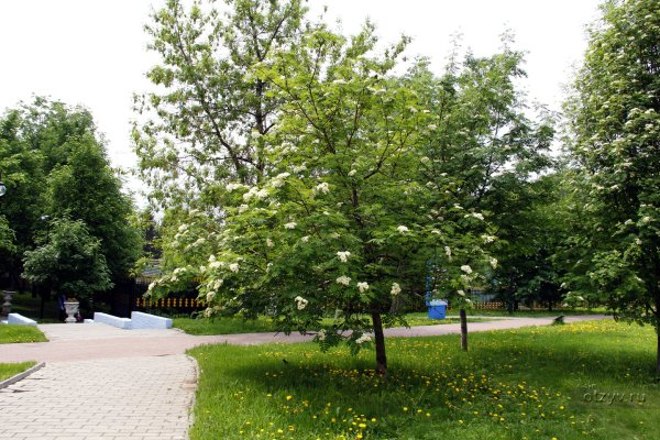 Екатерининский парк май