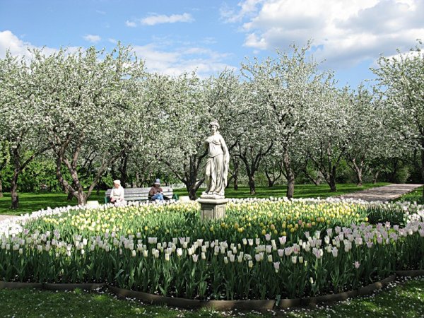Парк Коломенское Яблоневый сад клумба