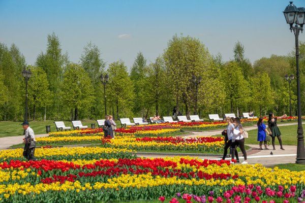 Царицыно в мае