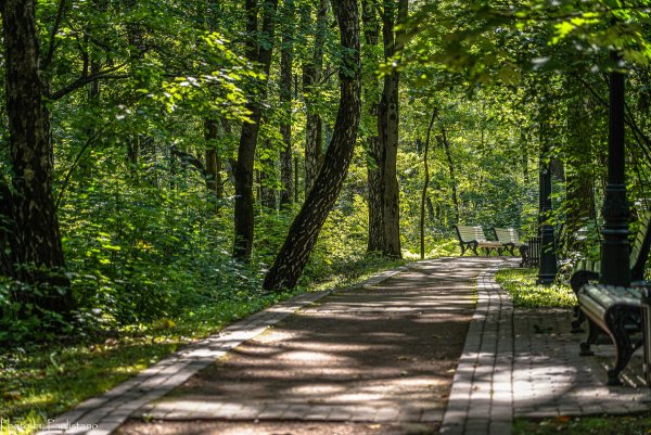 Парк Царицыно прогулочная тропа