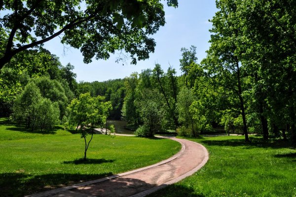 Парк Царицыно аллеи