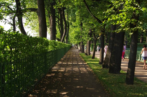 Летний сад в Санкт-Петербурге улица