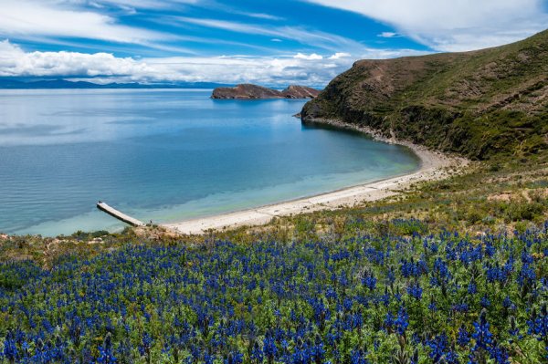 Боливия Титикака