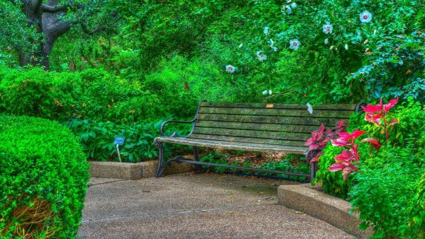 Красивый парк