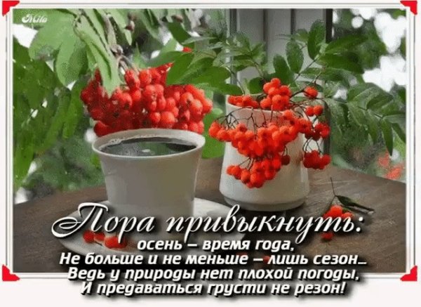 Доброго осеннего утра и хорошего настроения в любую погоду