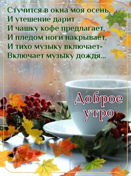 С до.рым осеним дождливым утром