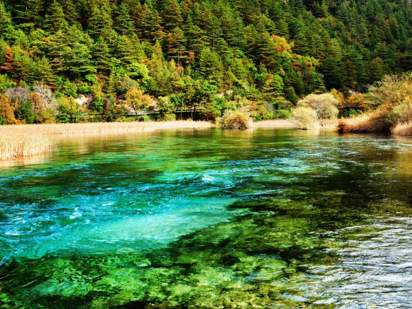 Лесной парк Цзючжайгоу