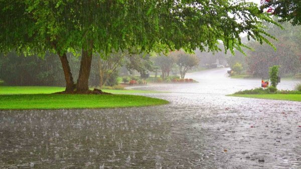 Проливной дождь